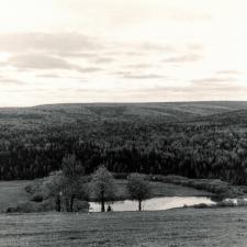 Пейзаж. На Колве. 1974 г.